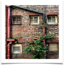 Derelict - Bill Rigby